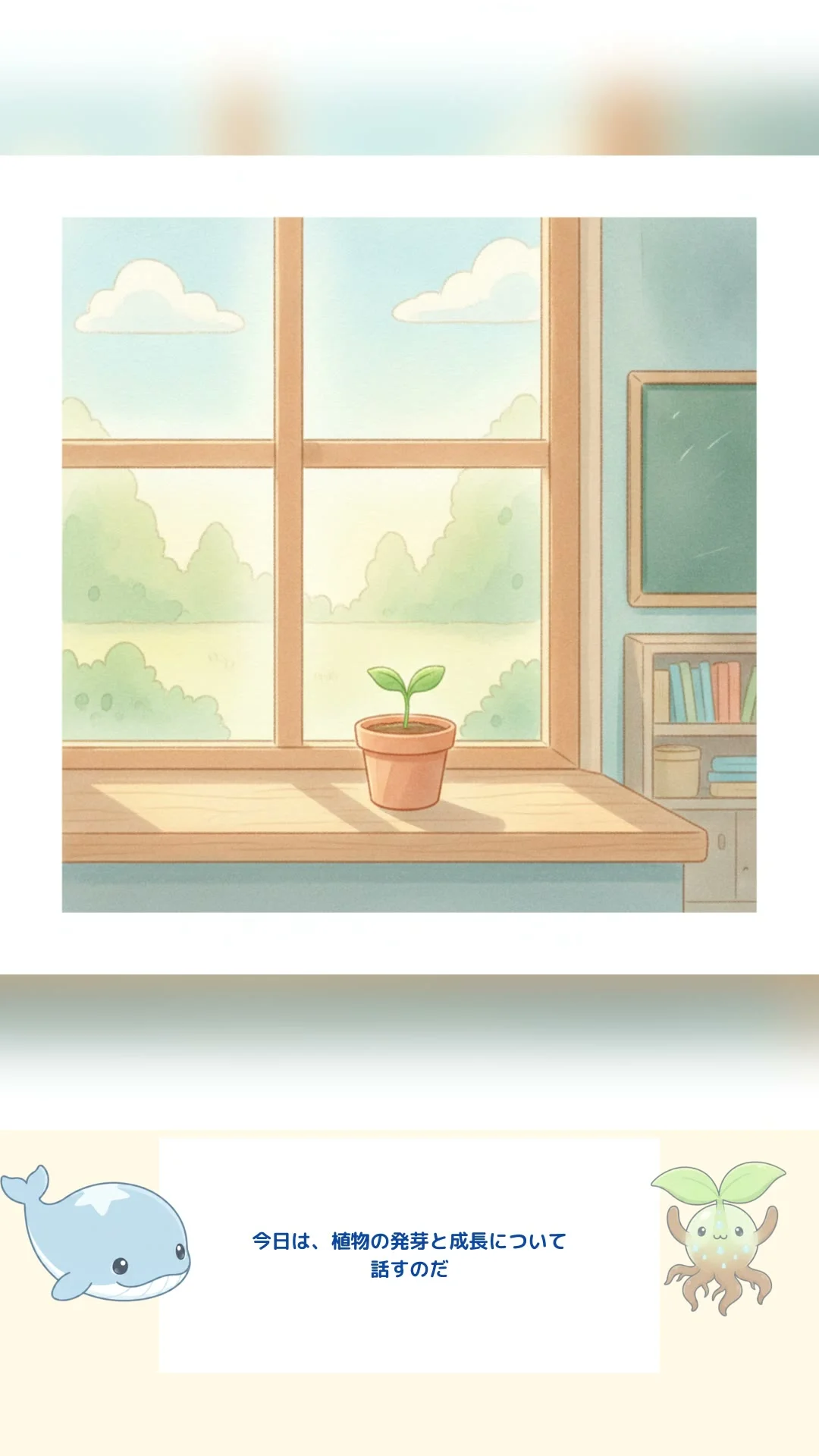植物の発芽と成長