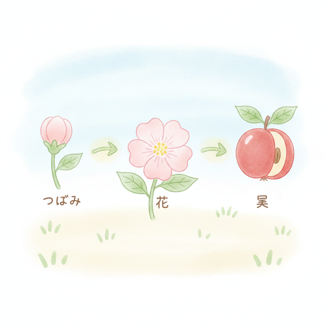 花がさいて実ができる