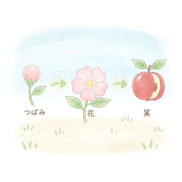 花がさいて実ができる